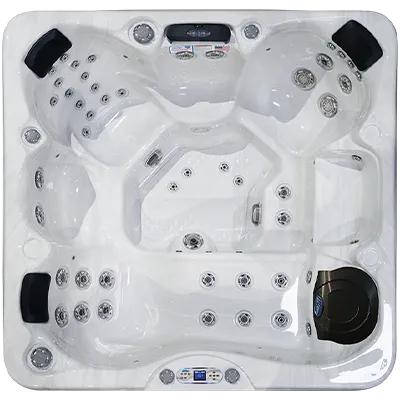 Avalon EC-849L hot tubs for sale in Livermore