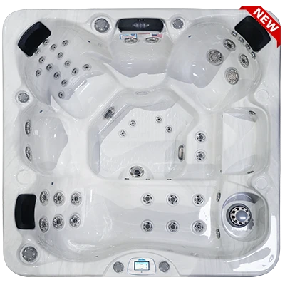 Avalon-X EC-849LX hot tubs for sale in Livermore