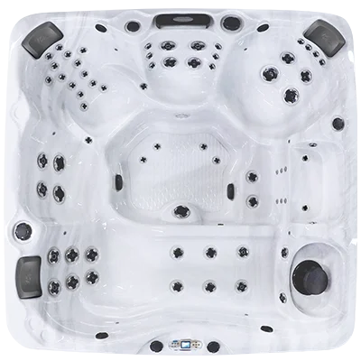 Avalon EC-867L hot tubs for sale in Livermore