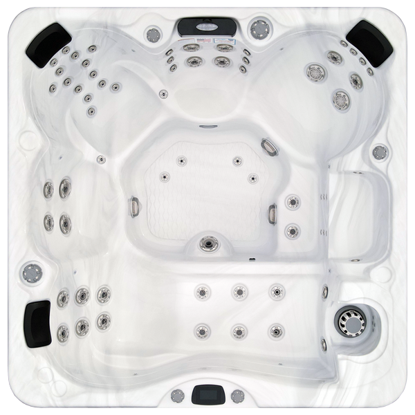 Avalon-X EC-867LX hot tubs for sale in Livermore