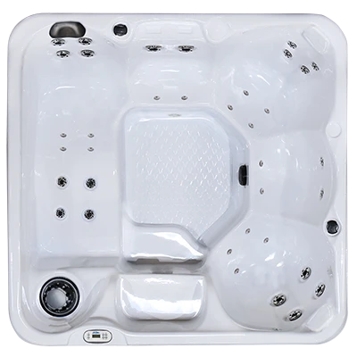 Hawaiian PZ-636L hot tubs for sale in Livermore